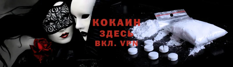 Cocaine FishScale  ссылка на мегу ONION  Тавда 